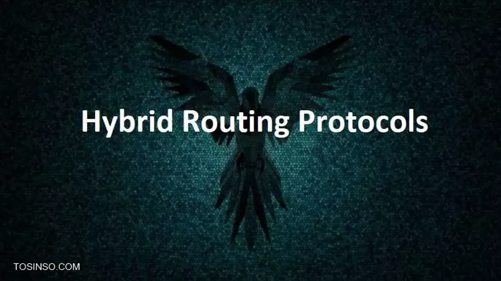 پروتکل مسیریابی ترکیبی چیست؟ معرفی Hybrid Routing Protocols