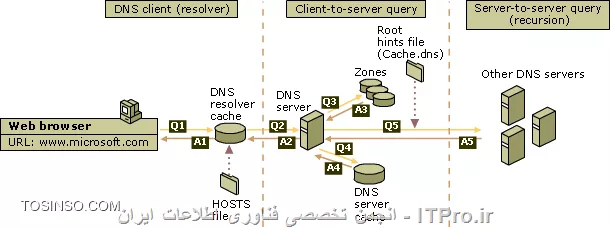 dns 