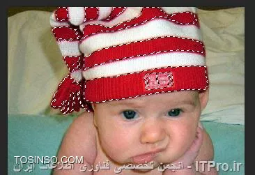 وب سایت توسینسو