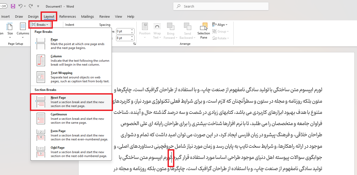 شماره گذاری صفحات در ورد