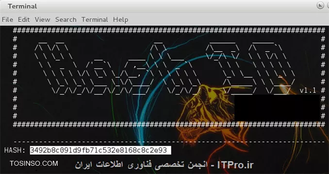 وب سایت توسینسو