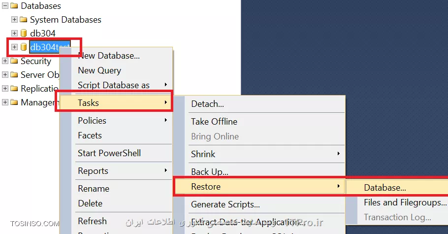 وب سایت توسینسو