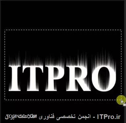 وب سایت توسینسو