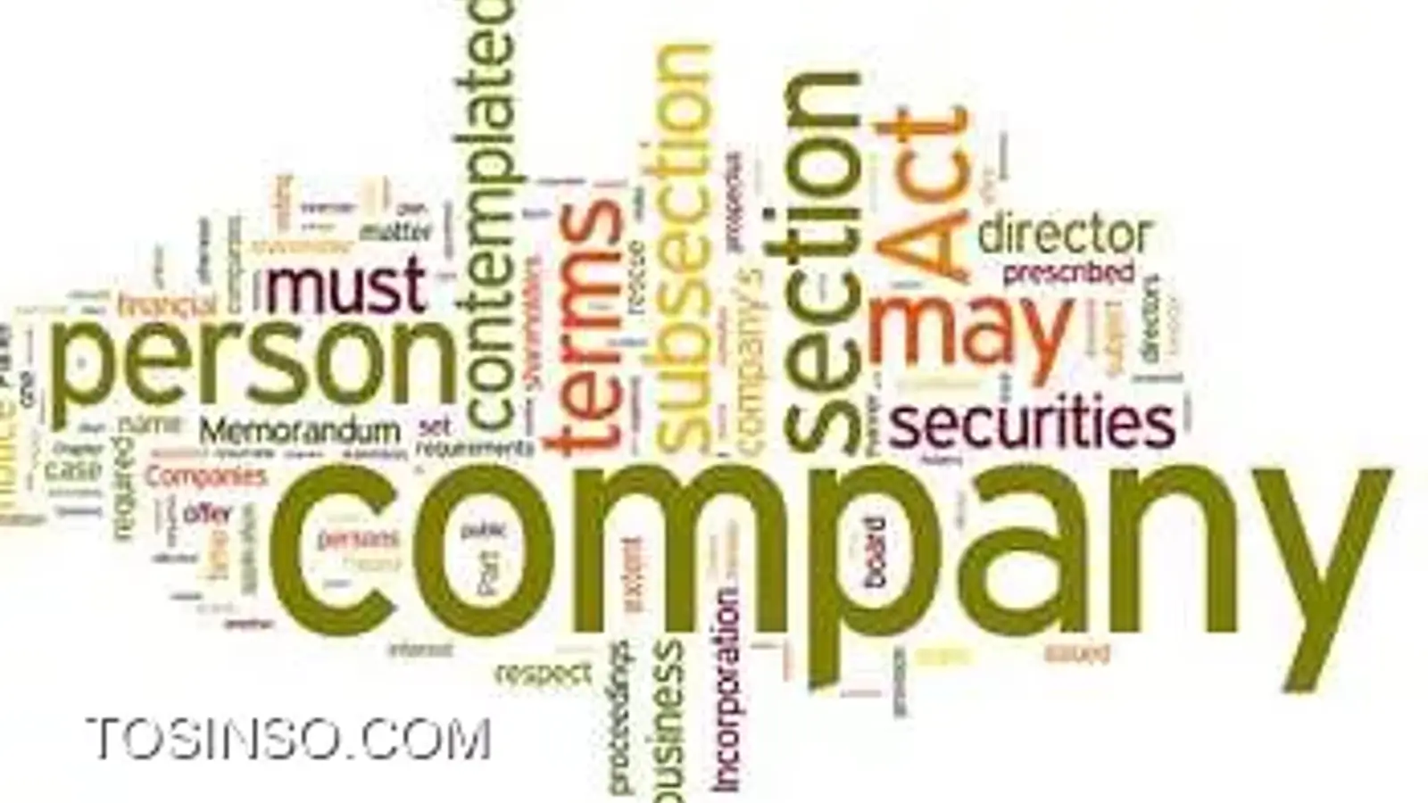 انواع سمت در شرکت های تجاری