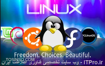 وب سایت توسینسو