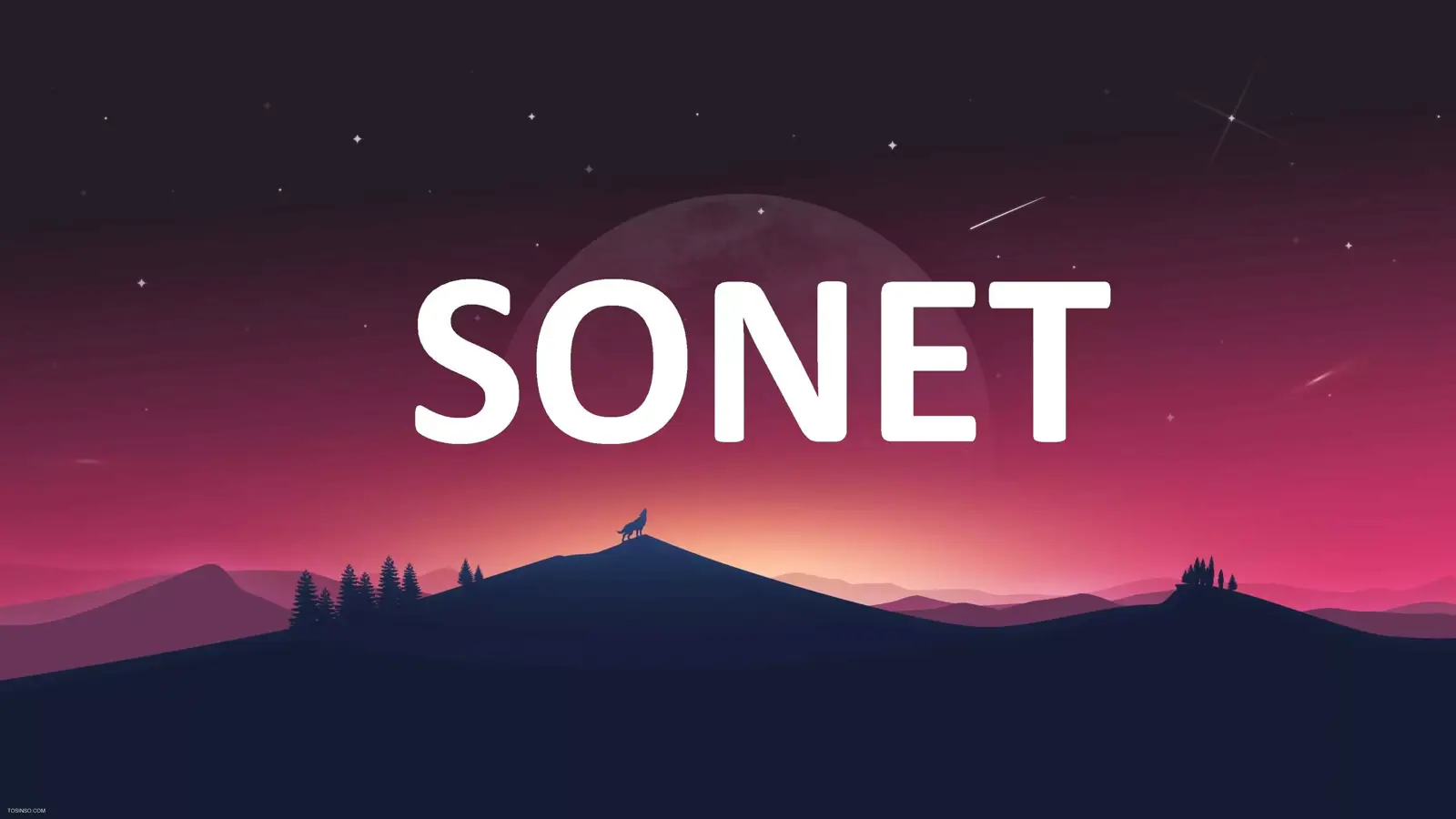 SONET چیست؟ معرفی Synchronous Optical Networking به زبان ساده