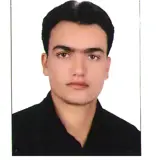 سید حسین موسوی