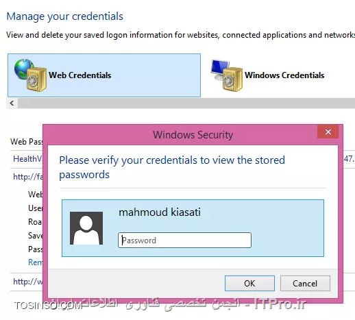 نمایش تمامی یوزرها و پسوردهای ذخیره شده در مرورگر Internet Explorer