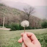 امیرعلی