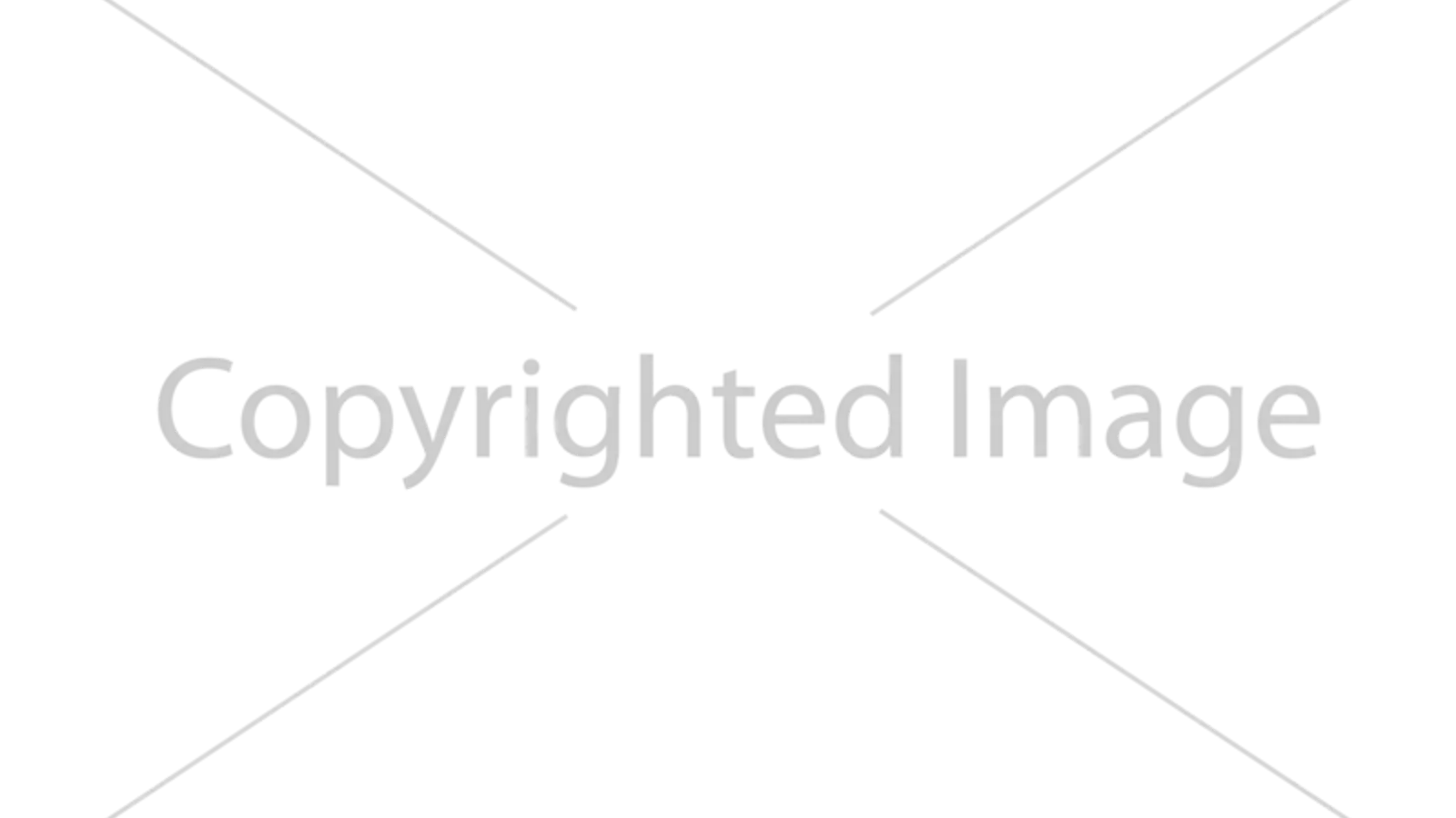 آموزش اضافه کردن واترمارک به تصاویر در ASP.NET MVC به زبان ساده