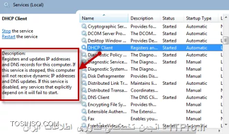 وب سایت توسینسو