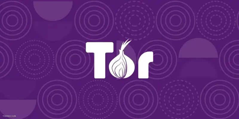 TOR چیست؟ معرفی ابزار مسیریابی پیازی یا TOR Onion Routing
