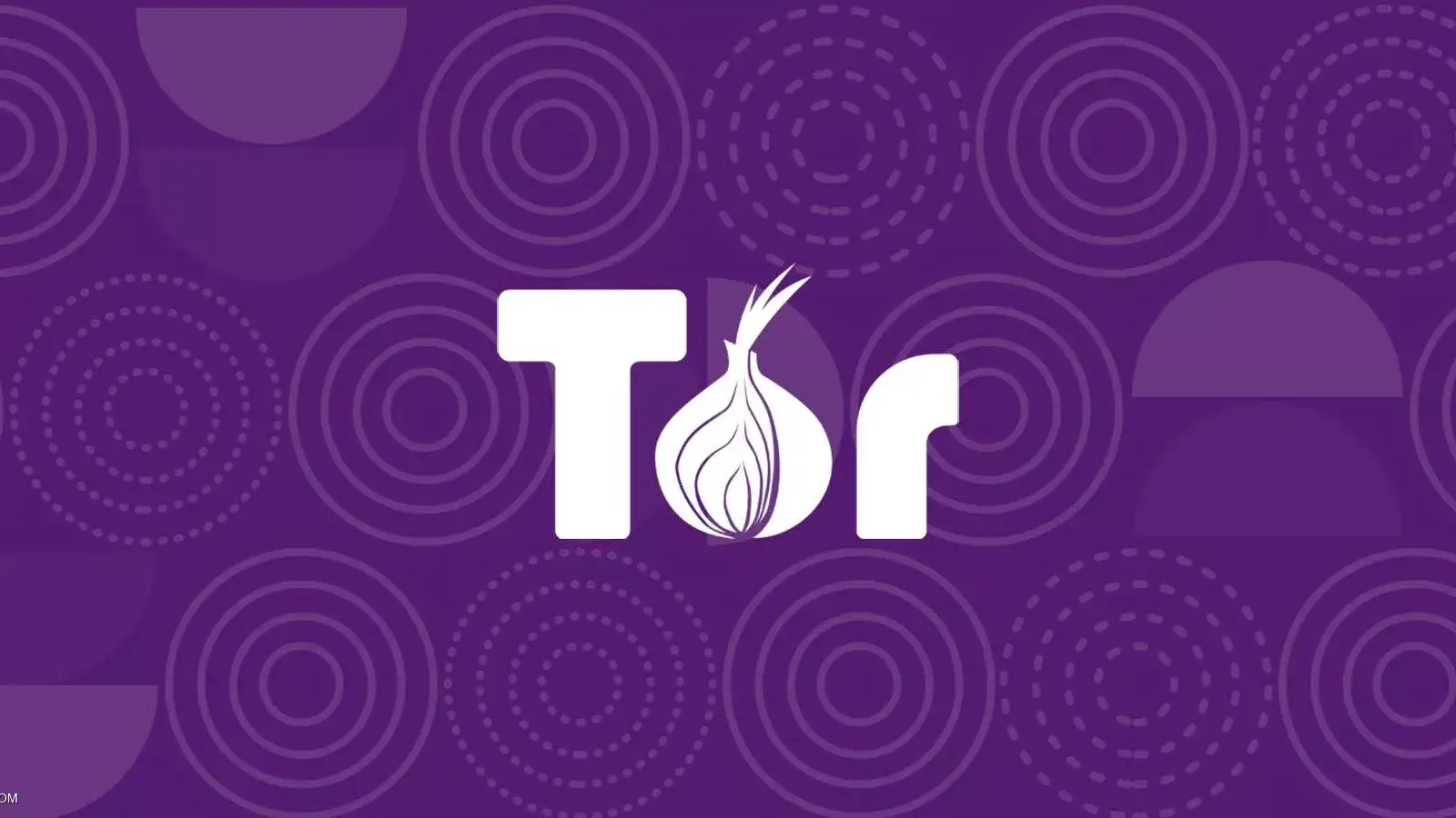 TOR چیست؟ معرفی ابزار مسیریابی پیازی یا TOR Onion Routing