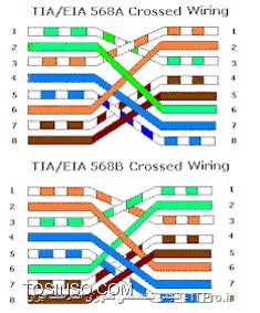 Twisted-Pair Cabling: Cross-Over 1000Base-T / Compatible with 10/100Base-T