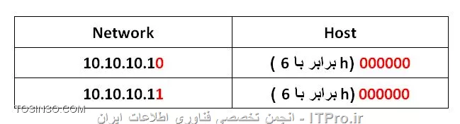 وب سایت توسینسو