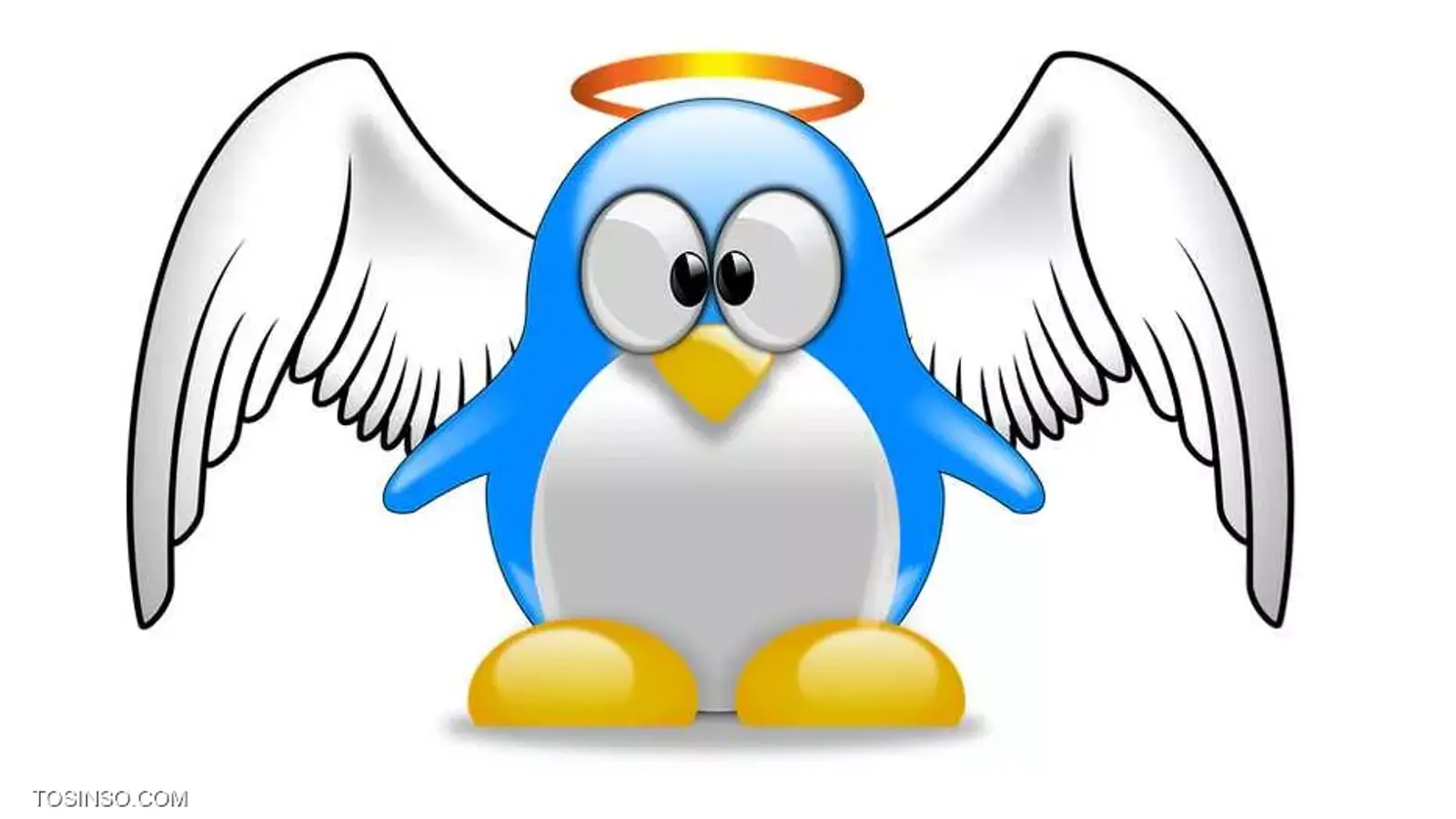 آیا لینوکس ویروسی می شود؟ بررسی وجود بدافزارها در لینوکس