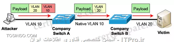 وب سایت توسینسو