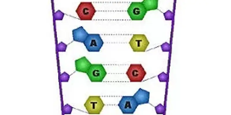 چه مقدار اطلاعات در DNA انسان قابل ذخیره سازی است؟