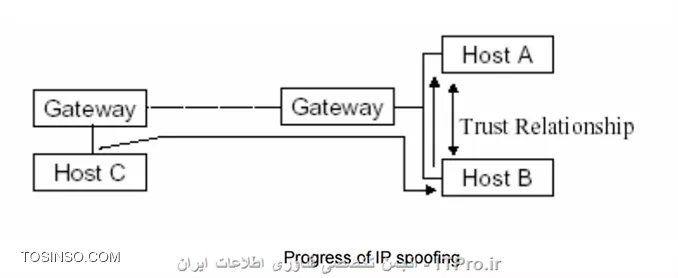 وب سایت توسینسو