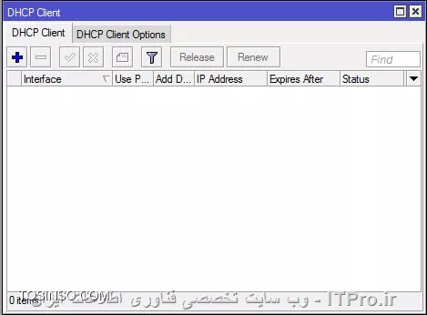DHCP Client