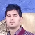 مصطفی باقری