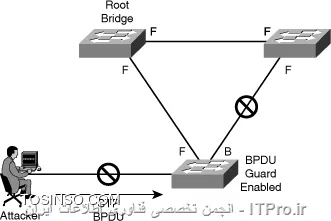 وب سایت توسینسو