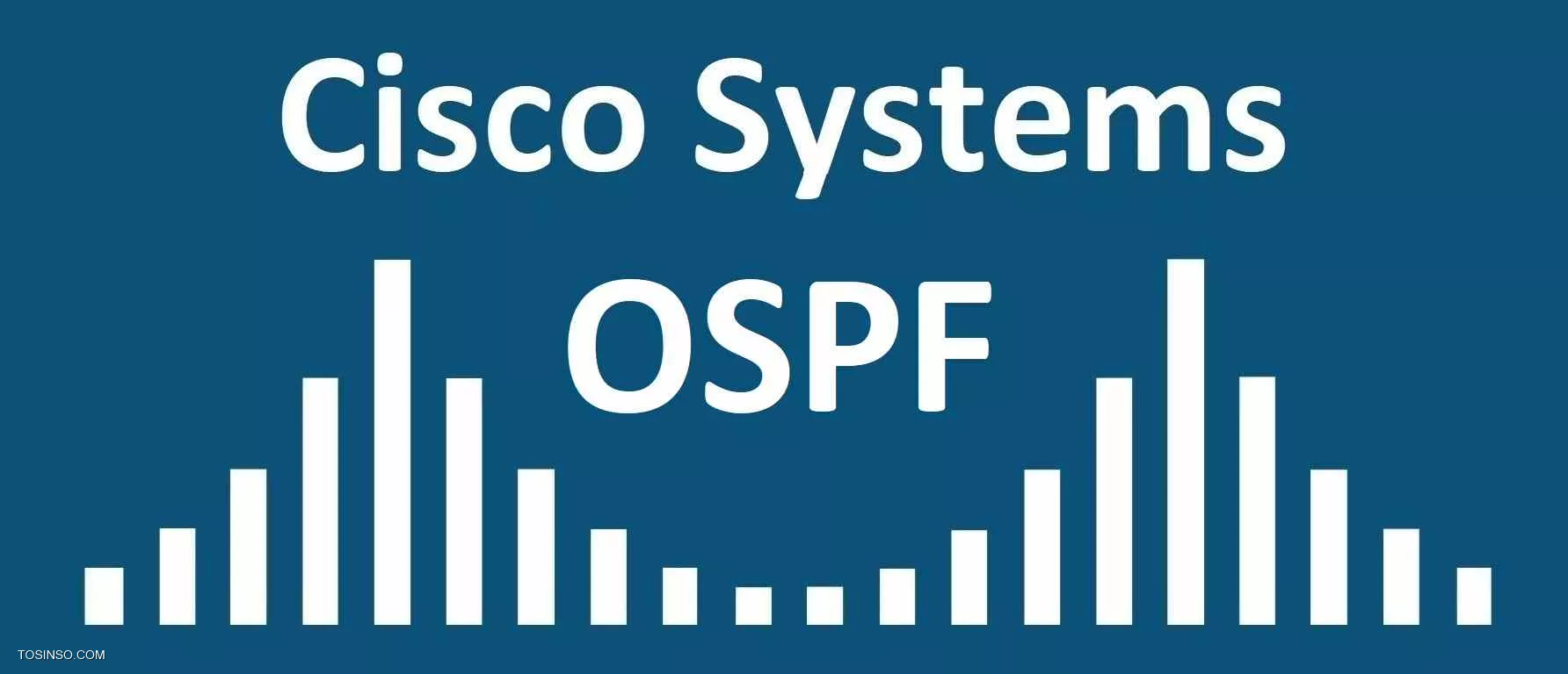 OSPF چیست و چگونه پیاده سازی می شود؟