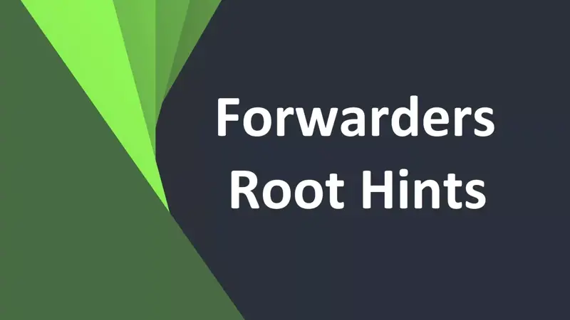 تفاوت Forwarder و Root Hint در DNS چیست؟ به زبان ساده