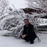 محمد میرشاهی