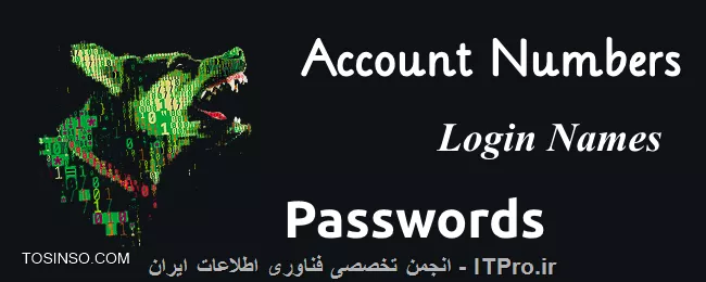 وب سایت توسینسو