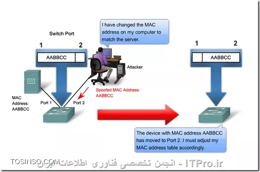 وب سایت توسینسو