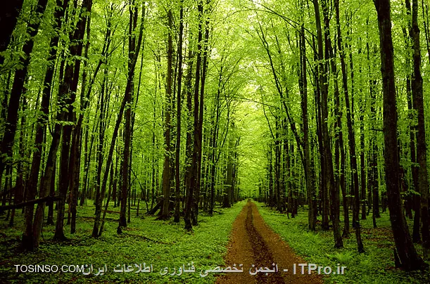 وب سایت توسینسو