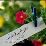 کاربر توسینسو