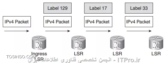وب سایت توسینسو