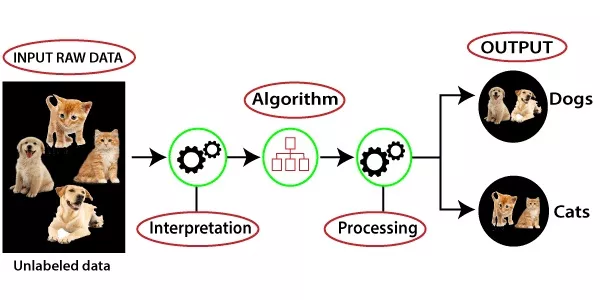 Unsupervised Machine Learning