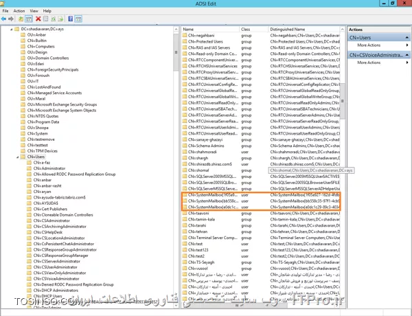 وب سایت توسینسو