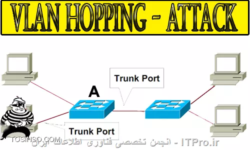 وب سایت توسینسو