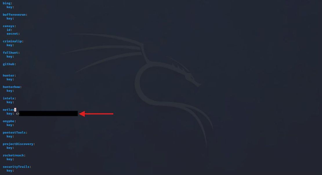 آموزش استفاده از ابزار  The Harvester در کالی لینوکس