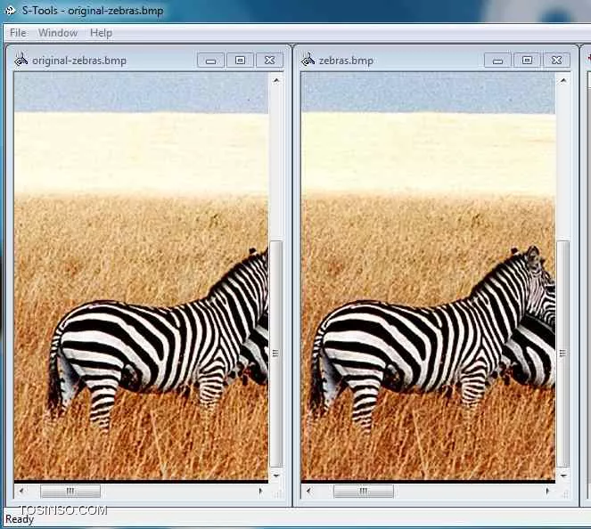 تصویر رمزنگاری شده