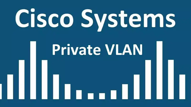 Private VLAN چیست؟ آموزش راه اندازی Private VLAN در سویچ سیسکو
