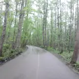 آرشاویر پارسا
