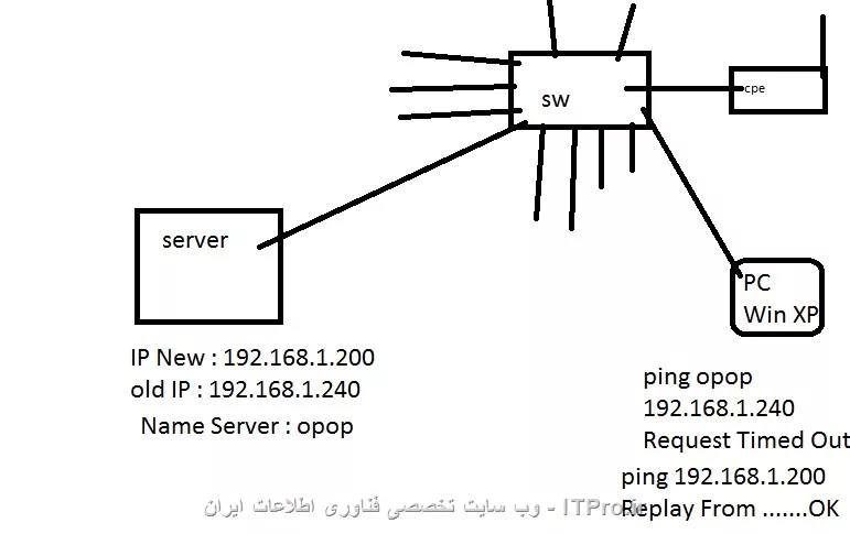 شبکه