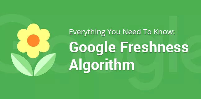 الگوریتم تازگی گوگل چیست؟ بررسی Google Freshness Algorithm در سئو