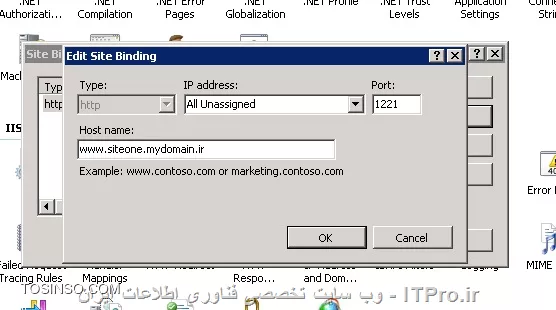 iis binding