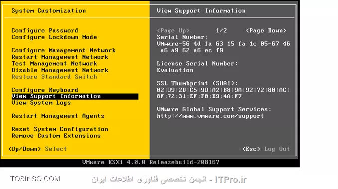 وب سایت توسینسو