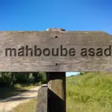 محبوبه