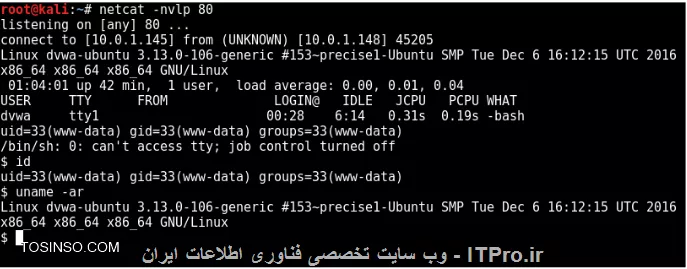وب سایت توسینسو