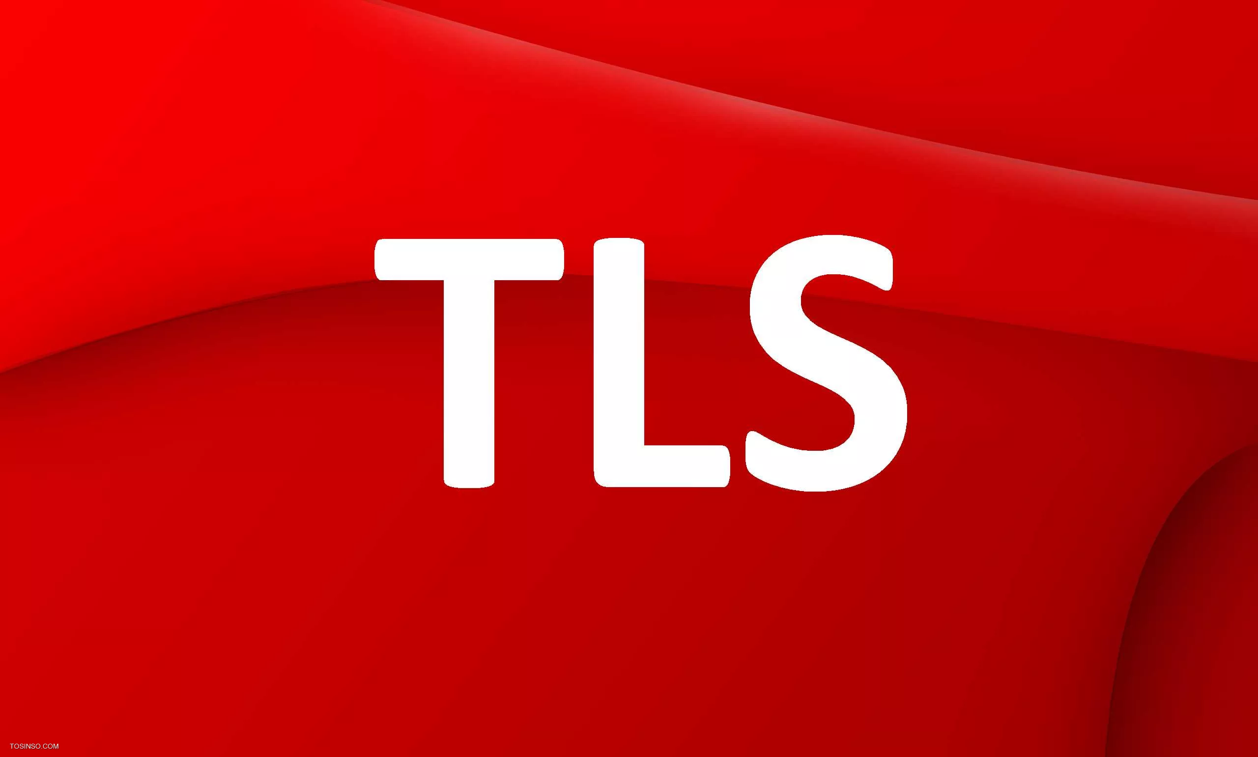 پروتکل TLS چیست؟ آشنایی با Transport Layer Security به زبان ساده