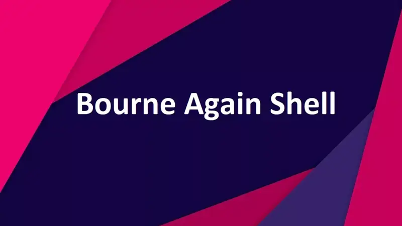 BASH چیست؟ معرفی Bourne Again Shell لینوکس به زبان ساده