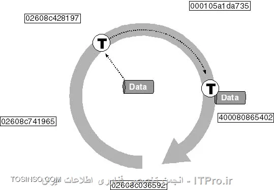 وب سایت توسینسو